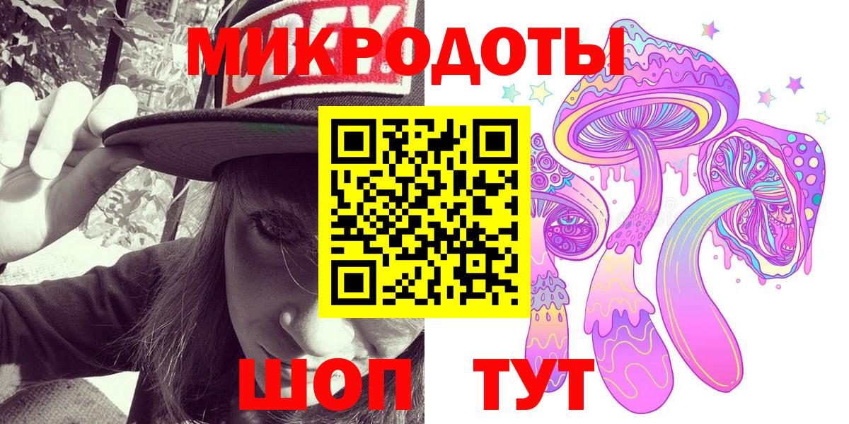 Псилоцибиновые грибы Psilocybe  Вход с VPN  Озёры 