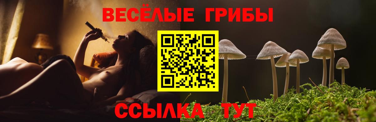 Галлюциногенные грибы мухоморы Озёры
